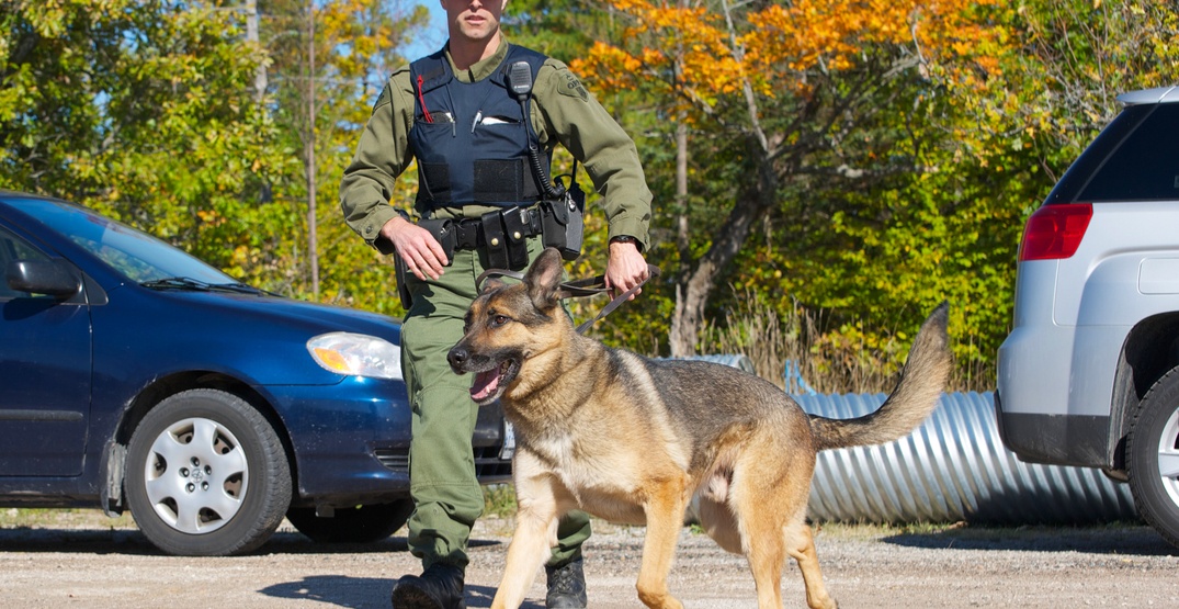 police dog