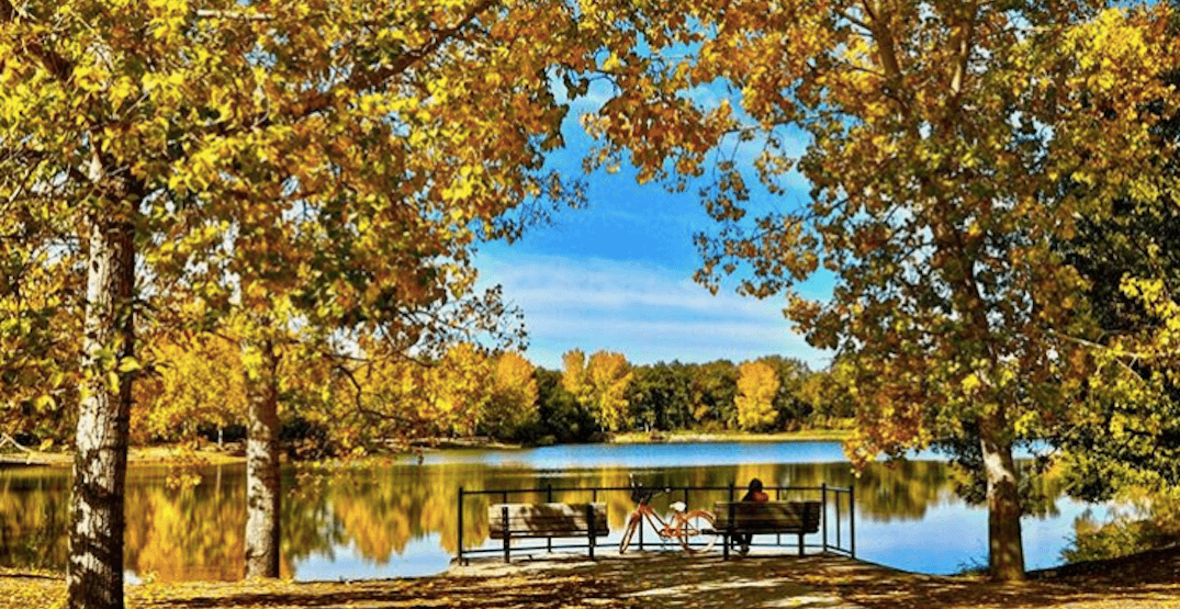 58 things to do in Calgary this month: October 2018