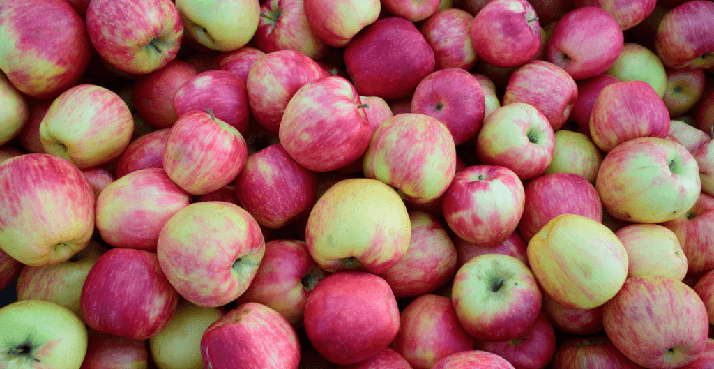 UBC Apple Festival