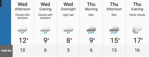 temperature record