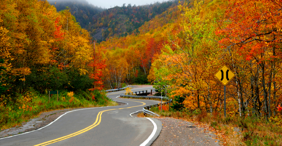 8 gorgeous spots to see leaves changing colour in North America