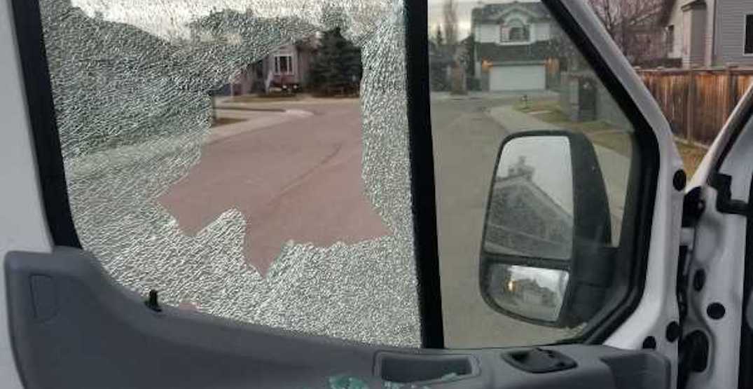 15 vehicles damaged in BB gun-related Halloween mischief