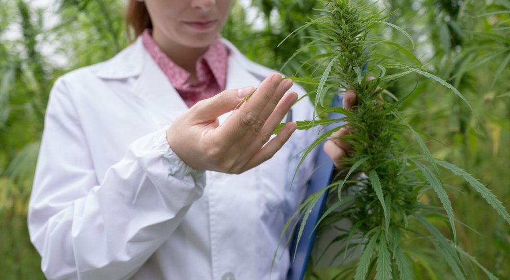 This Toronto event looks at the impact of cannabis legalization on women