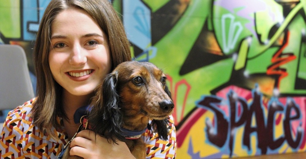 U of C to see dogs, free massages and cookies for SU StressLess Week