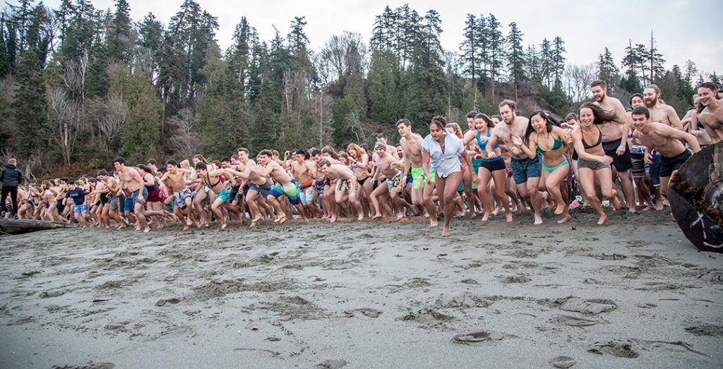 polar bear swim