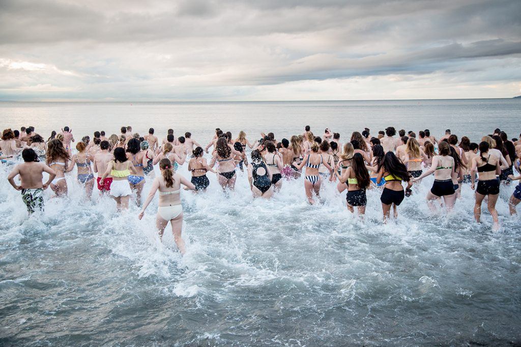 polar bear swim