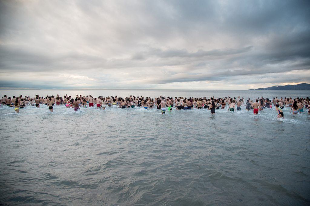 polar bear swim