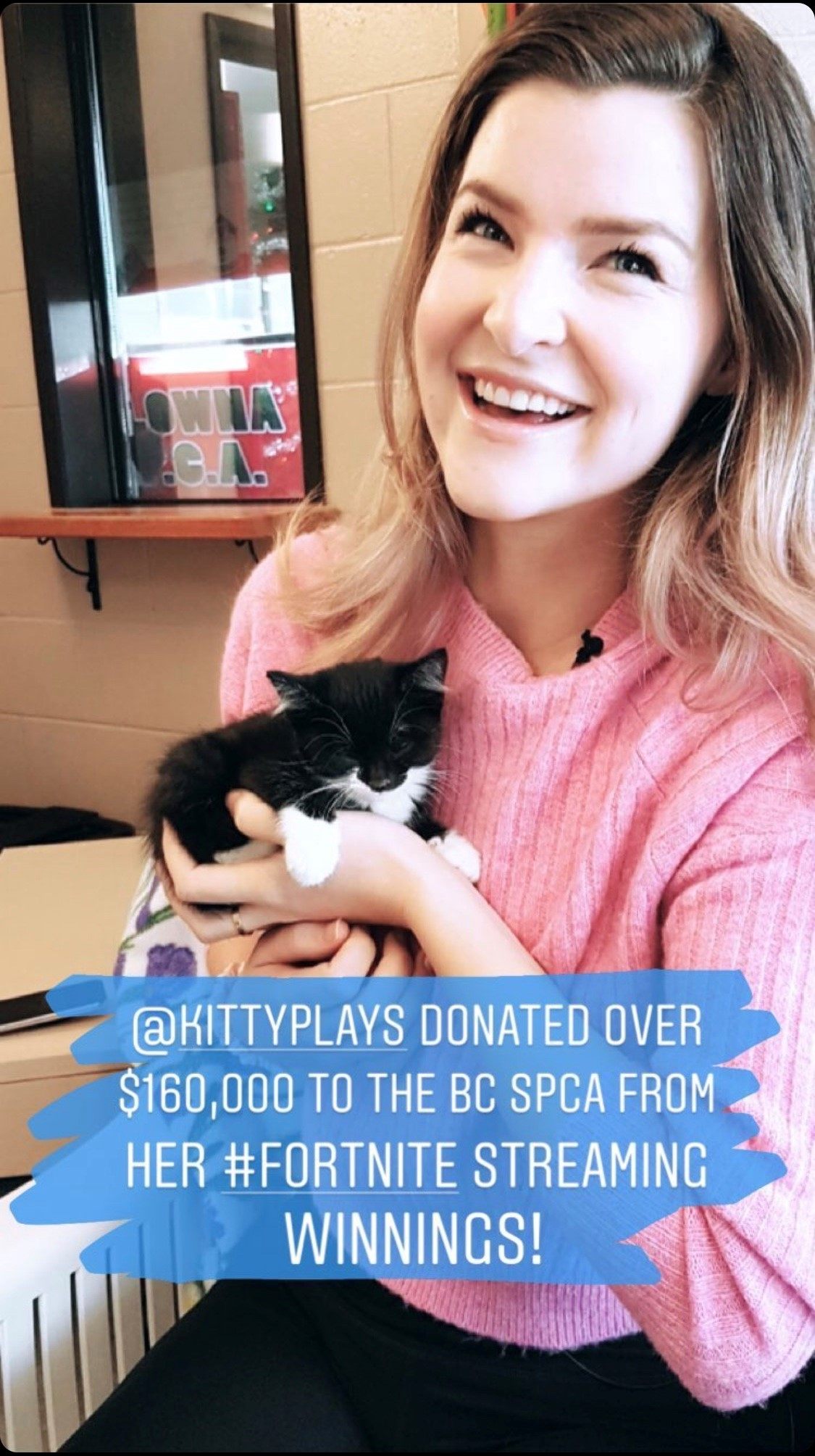 Local Fortnite streamer KittyPlays donates 160k to help cats in BC(01)