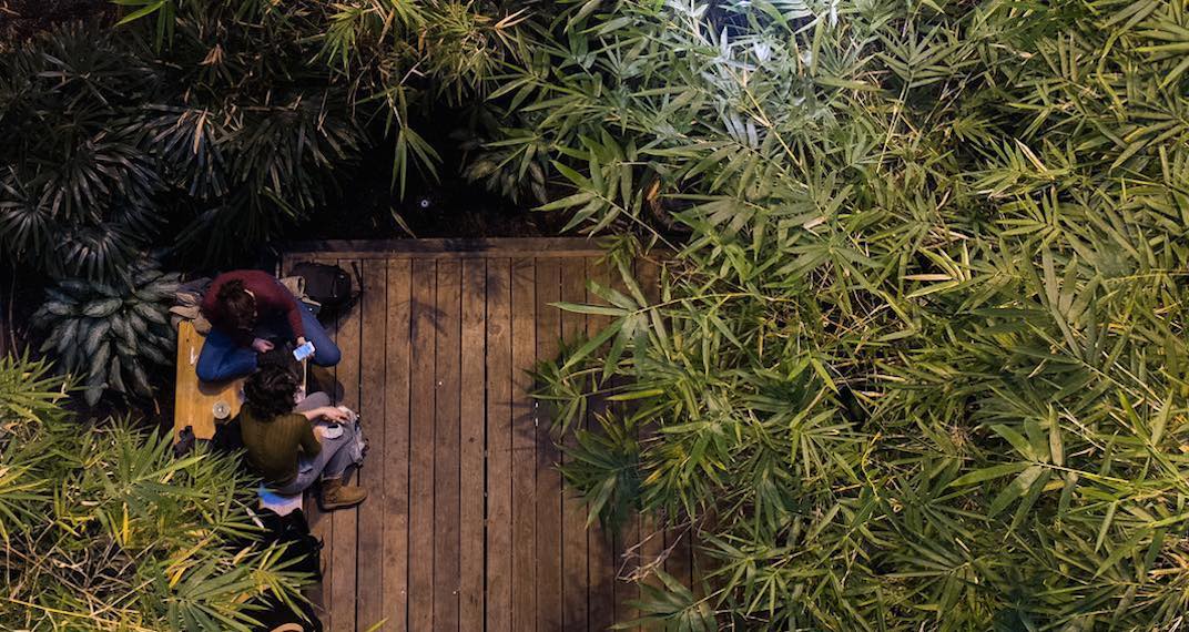 There S A Secret Bamboo Study Garden At U Of T Photos There S A Secret Bamboo Study Garden At U Of T Photos