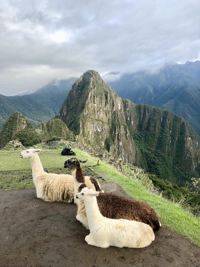 machu picchu