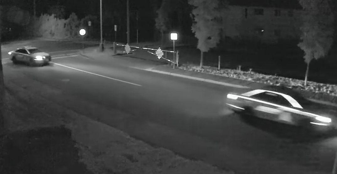 Catfights to cop chases: BC man captures year of ‘restless neighbourhood’ (VIDEO)