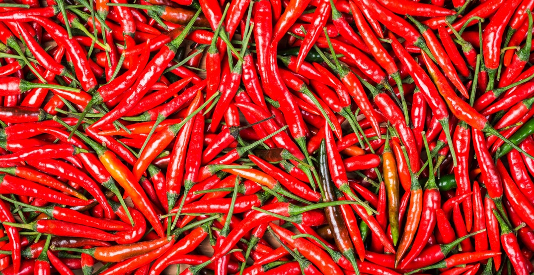 Canada Herb brand Red Chili recalled due to possible salmonella contamination