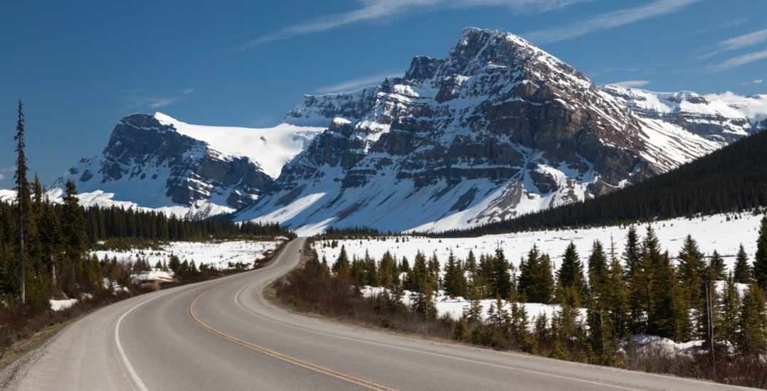 Parks Canada calls off Icefields Parkway bike trail project