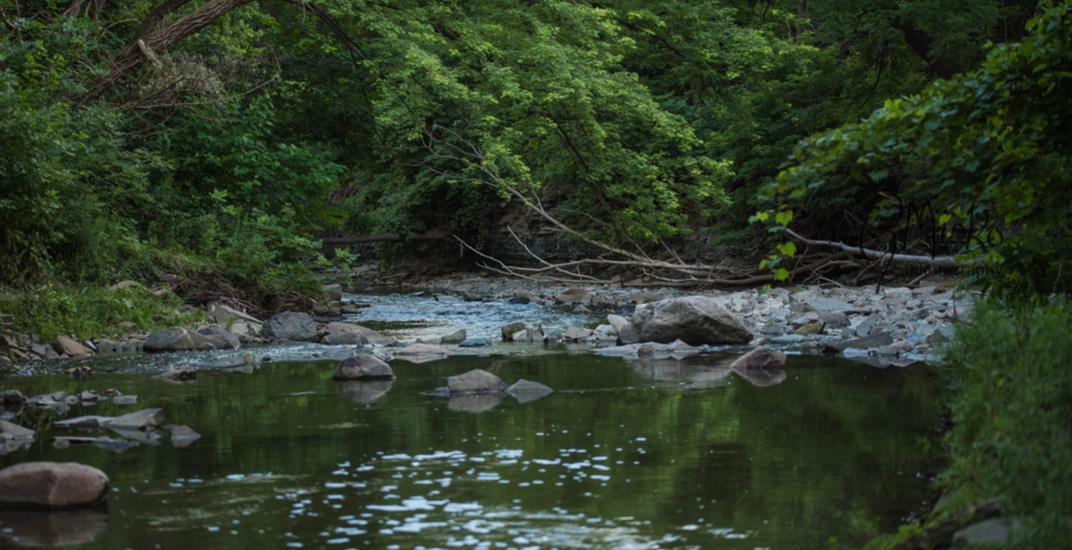 24-year-old woman dies after slipping and falling off trail near Etobicoke Creek