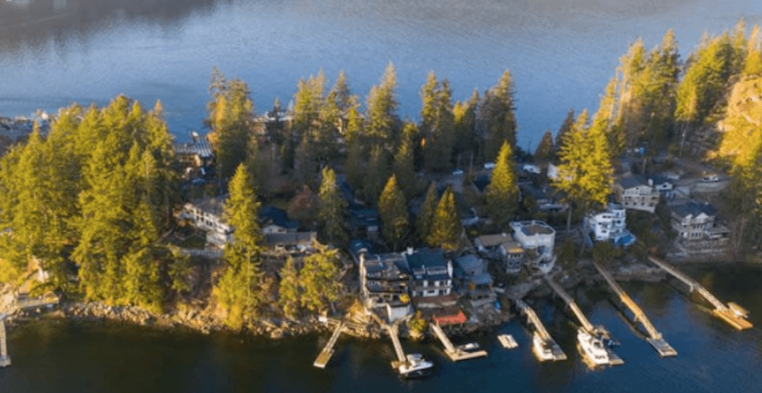 Tone deaf? BC Liberal leader tweets about 'brokenhearted' cabin owners