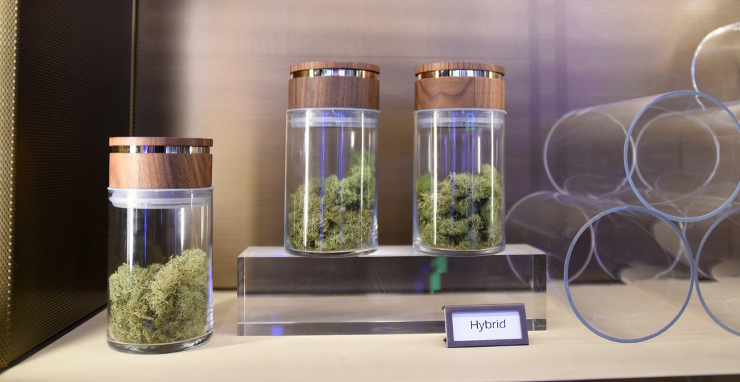Toronto's first licensed cannabis shop officially approved for Queen West