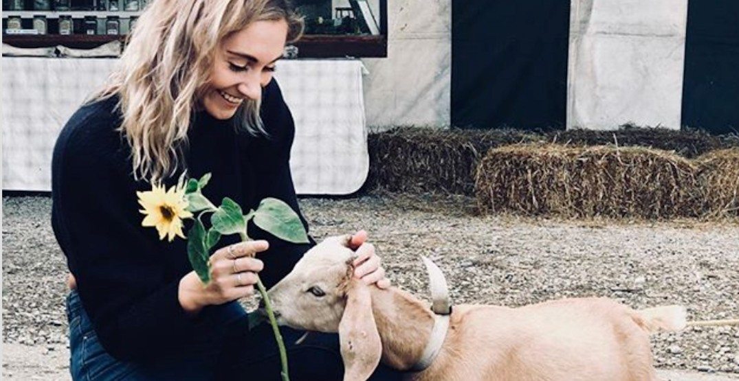 Stock up on Insta-worthy pics at this Langley farm for Easter weekend