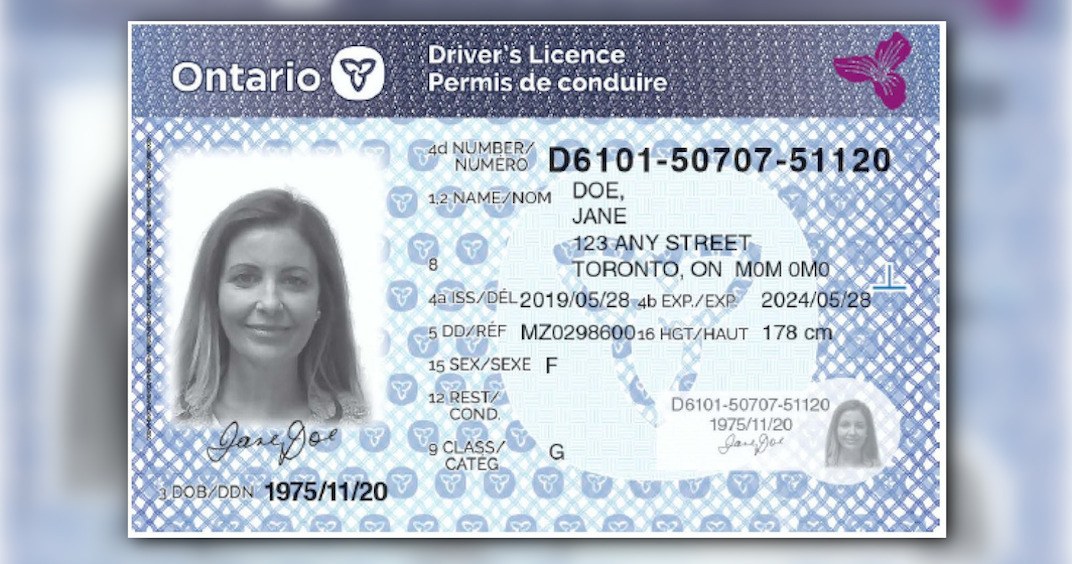 Ford Government Reveals New Ontario Driver s License News