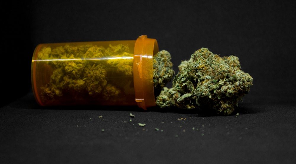 Researchers divided on future of cannabis as a whole plant or isolated medicine