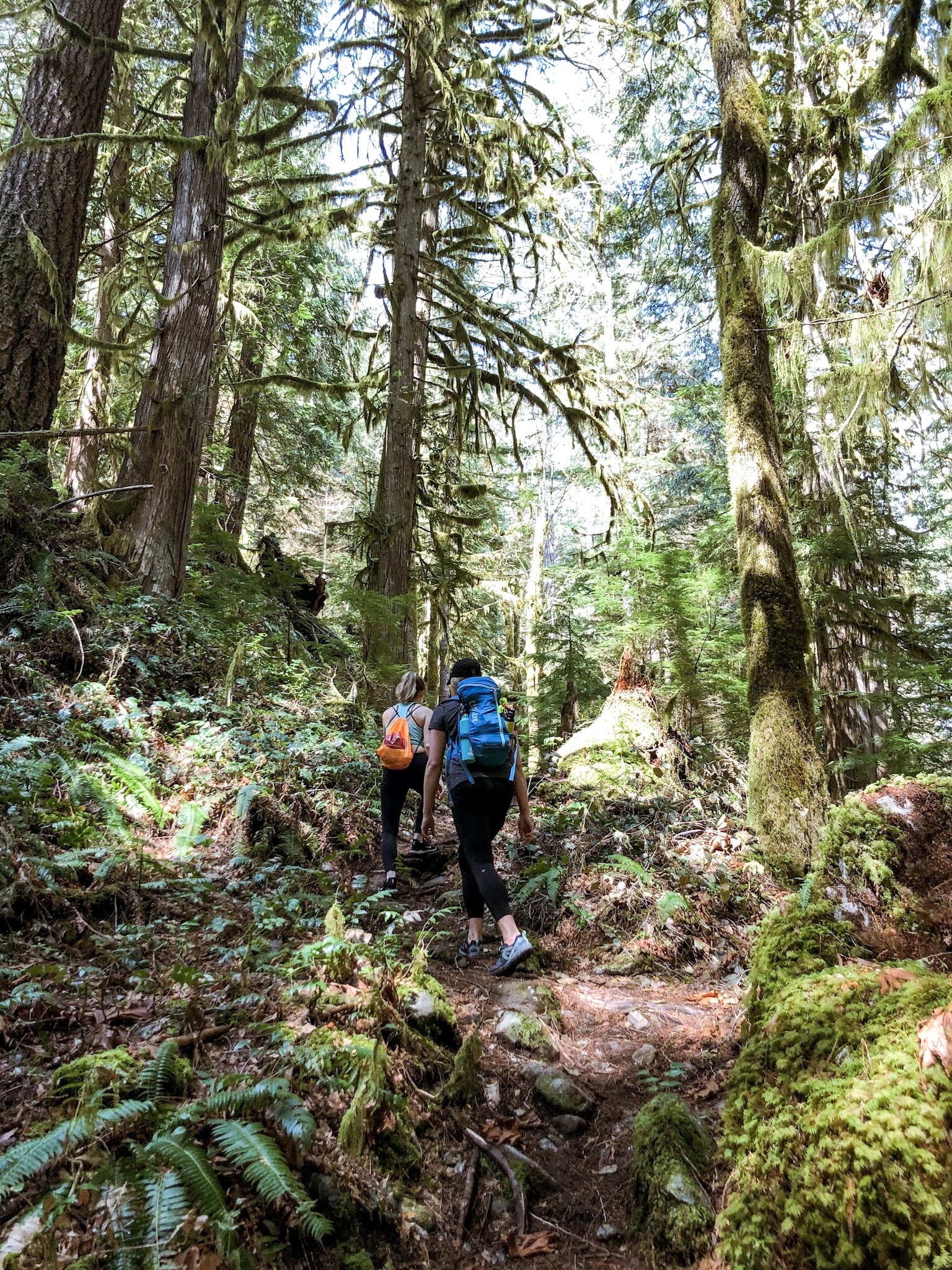 vancouver hike