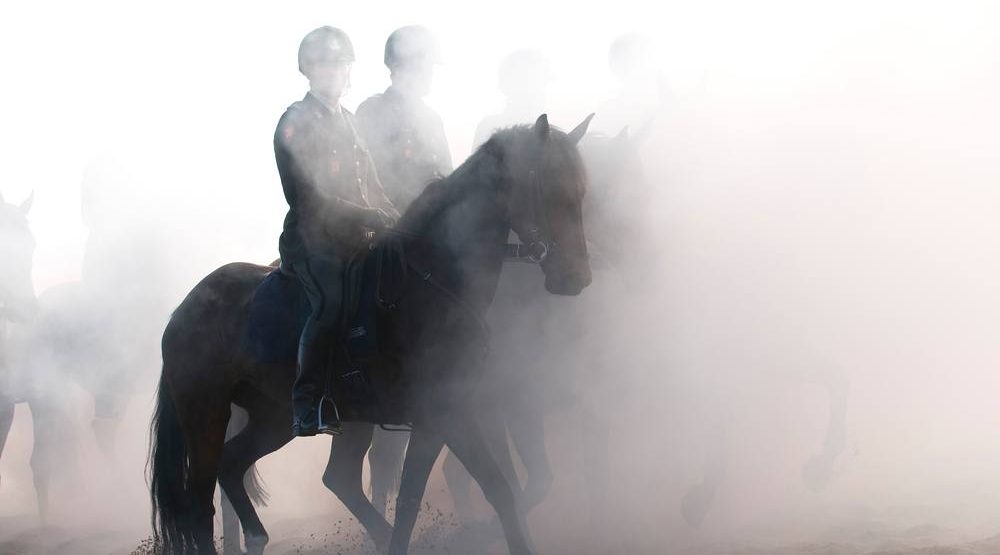 A line of cannabis products for horses is currently being developed in Canada