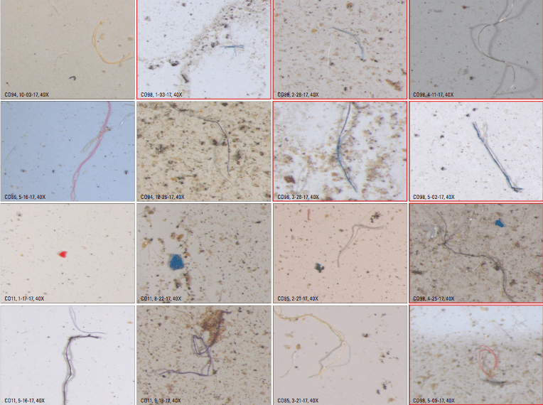 microplastics