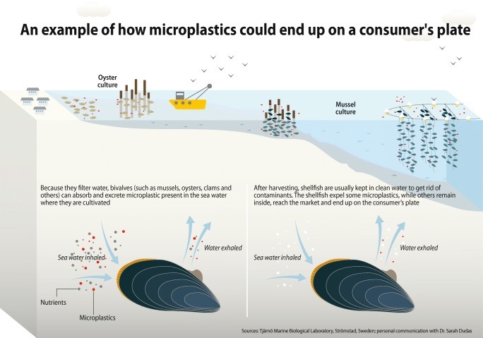 microplastics