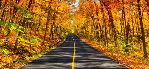 Here s Where The Fall Foliage Is Peaking Across Quebec Right Now Listed here-s-where-the-fall-foliage-is-peaking-across-quebec-right-now-listed