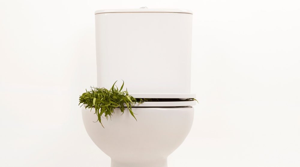 Canada just finished testing sewage for weed in its major cities