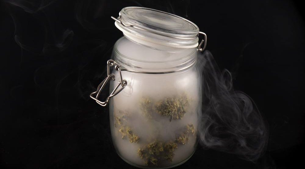 This Canadian cannabis company says it has developed stinkless weed