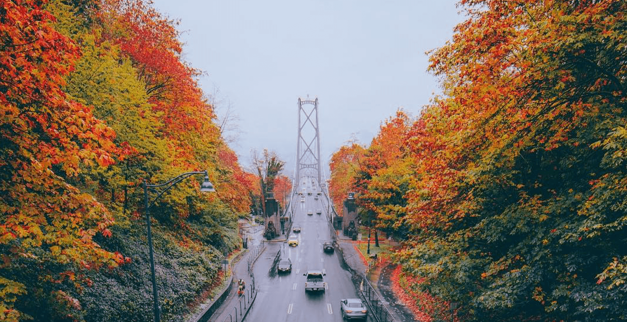 10 places to see fall leaves in and around Vancouver