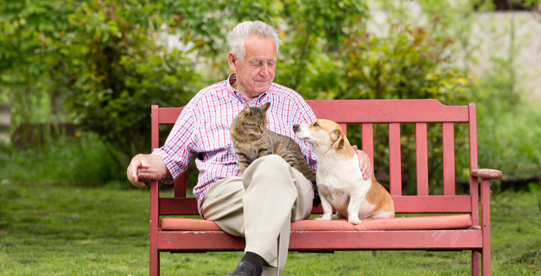 Calgary seniors just received a $15,000 grant so they can keep their pets