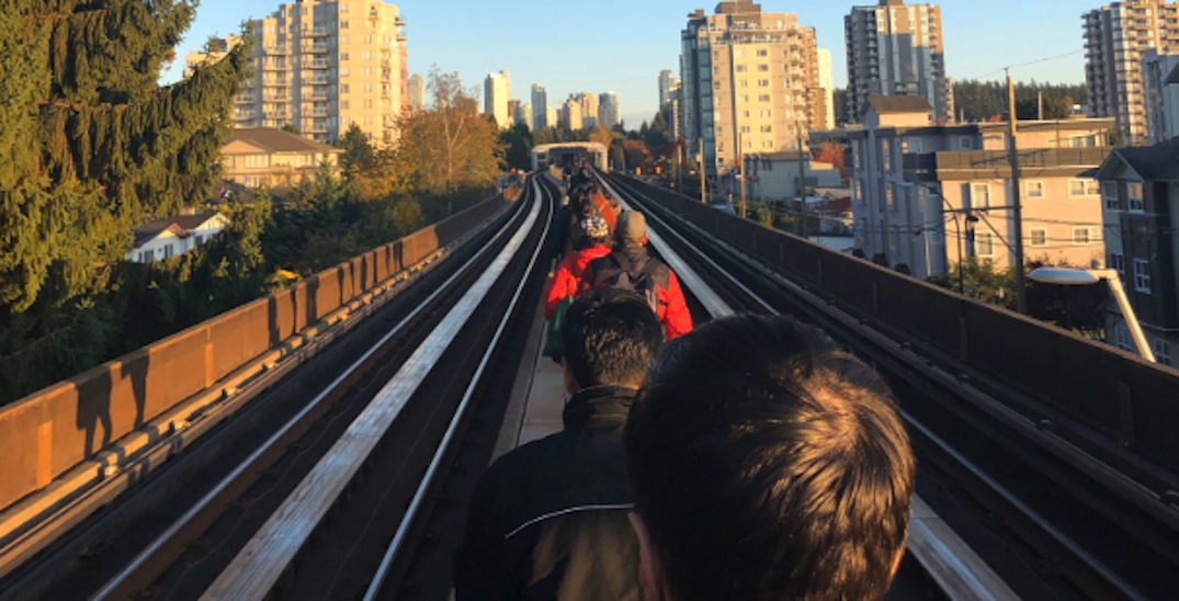 UPDATED: Major SkyTrain delays after a tree falls onto the tracks