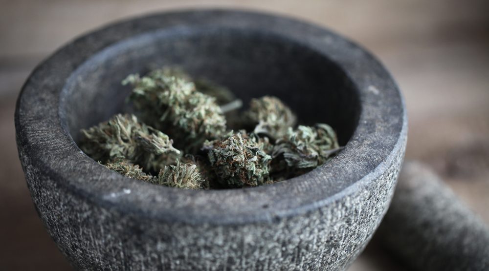 Delaying Canadian rollout out of cannabis edibles and drinks unnecessary: CEO