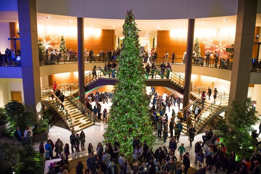 Tree Lighting Seattle 2019