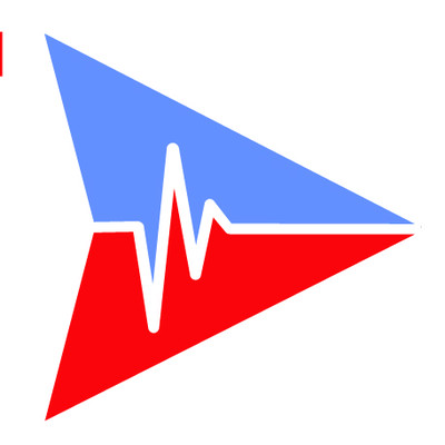 FleetNurse Company Logo