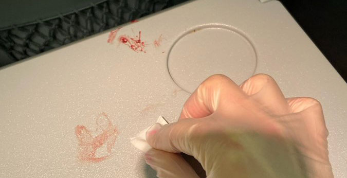 Canadian woman says Flair flight attendant made her clean up someone else's blood
