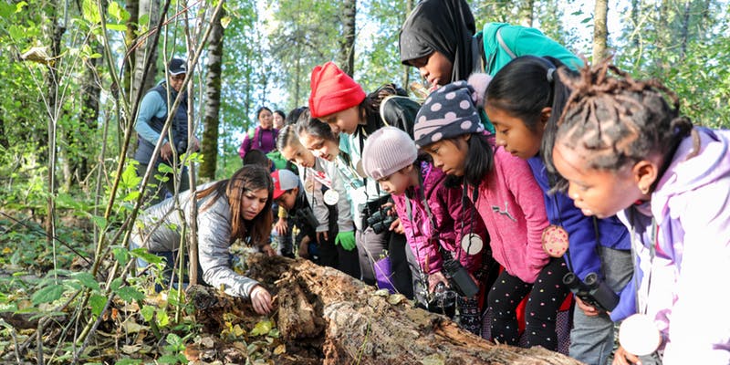 Children in nature 