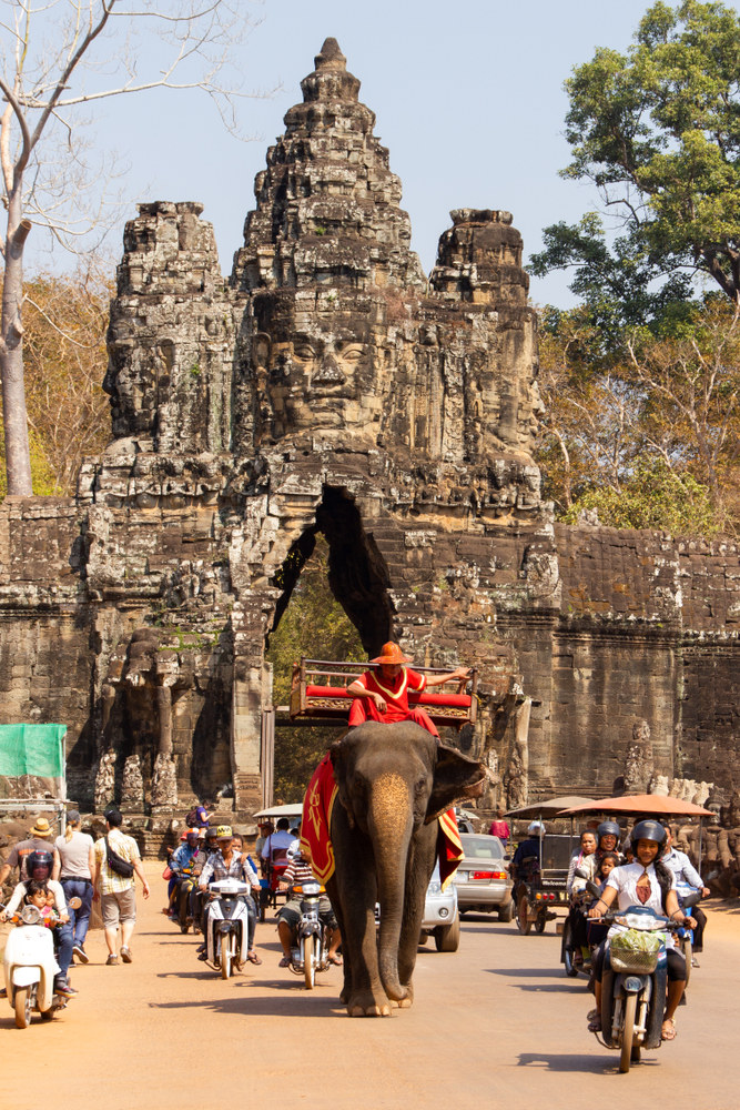 elephant-temple-traffic