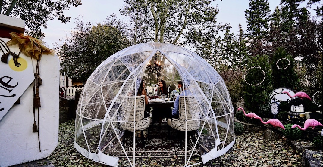 "Dine in Wonderland" tea and dinner experiences coming to Calgary this spring