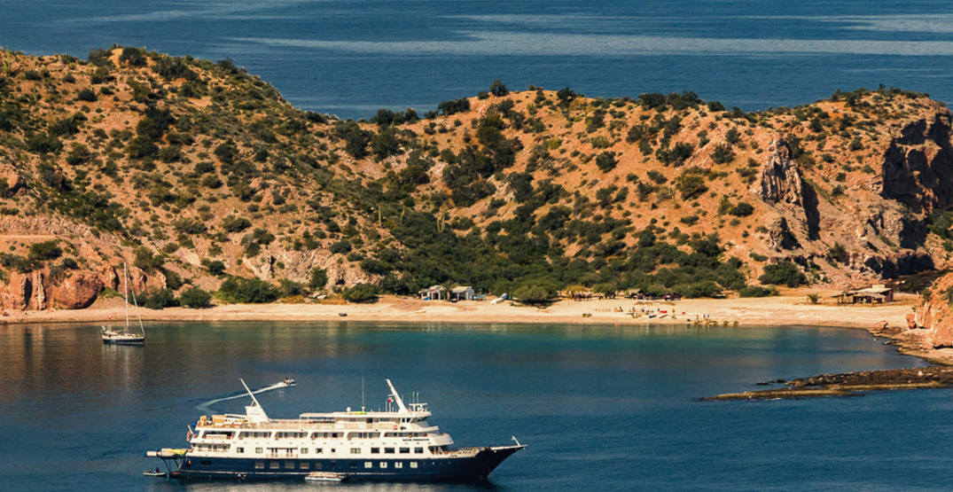 “Uncruising” on the Sea of Cortez: The Galapagos of the North