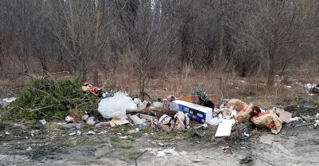 There's been a significant increase in illegal garbage dumping in Rouge Park
