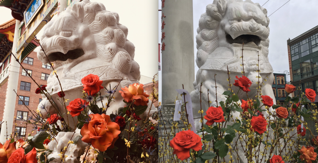 Chinatown lions adorned with flowers following racist vandalism (PHOTOS)