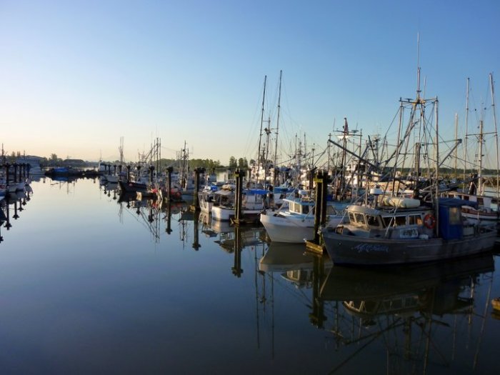 steveston