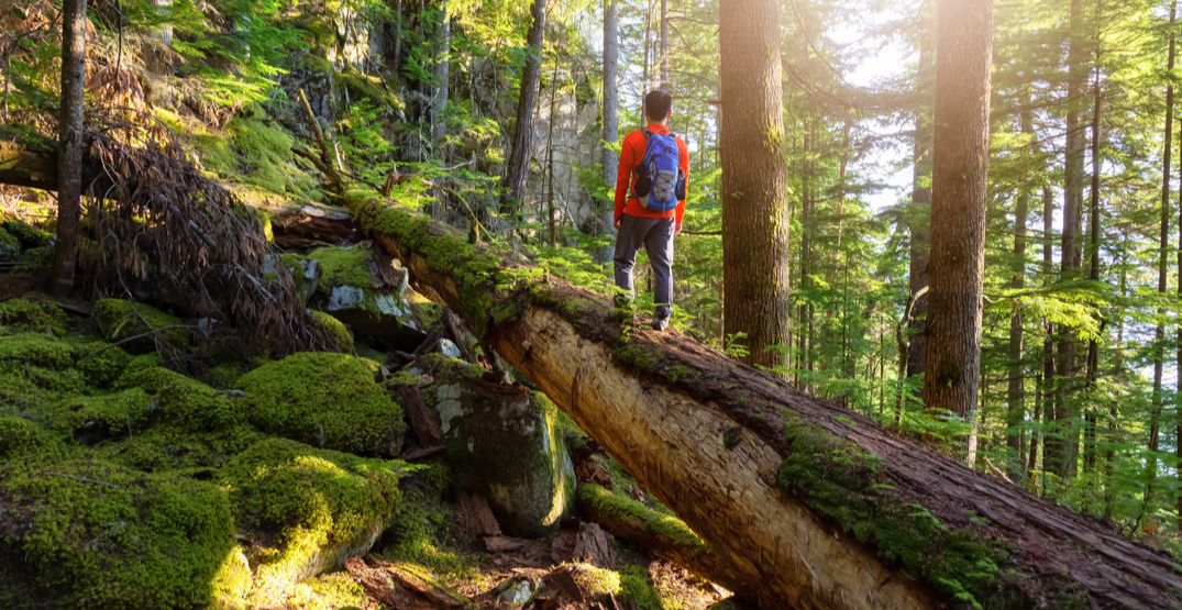10 pieces of hiking etiquette to know before heading out BC trails