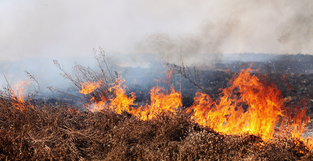 Richmond's serial arsonist sets fire near elementary school