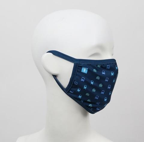 translink face mask