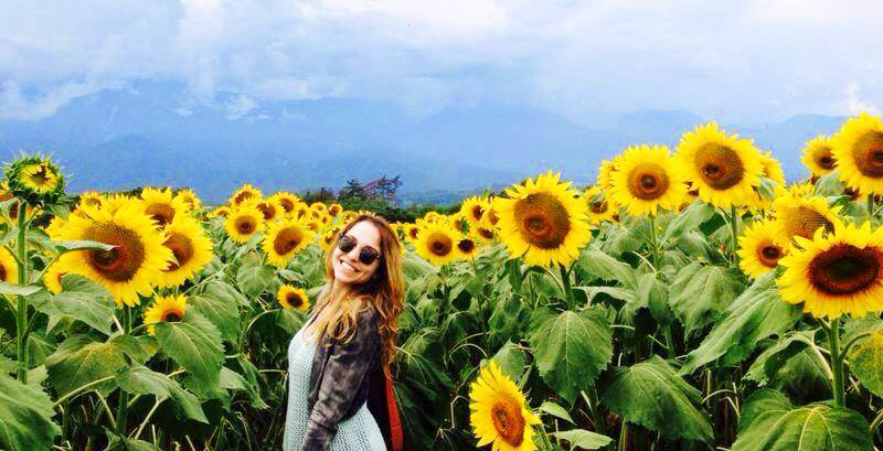 chilliwack sunflower festival