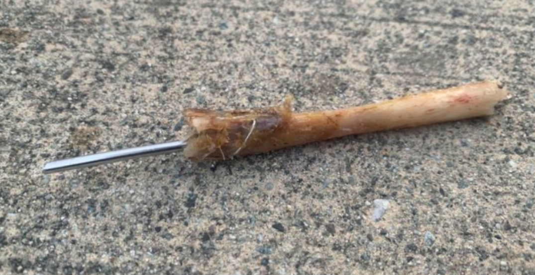 Police alert pet owners after man finds bone with spike while walking his dog