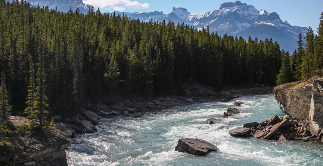 Man missing after being swept away by river in Banff National Park